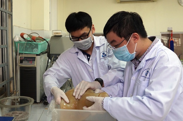 Nghiên cứu vật liệu cứng gấp 8 lần thép từ bùn giấy