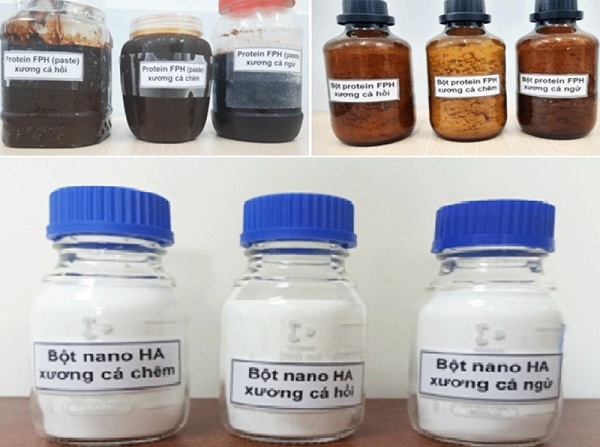 Nghiên cứu sản xuất các chế phẩm dạng bột từ phế phẩm xương cá