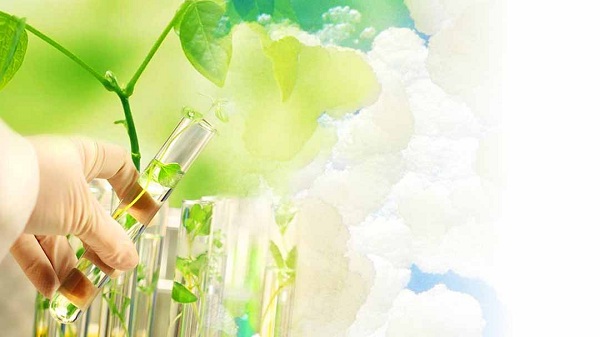 Báo cáo chuyên đề “Ứng dụng công nghệ sinh học để sản xuất, chế biến trong lĩnh vực Y Dược”