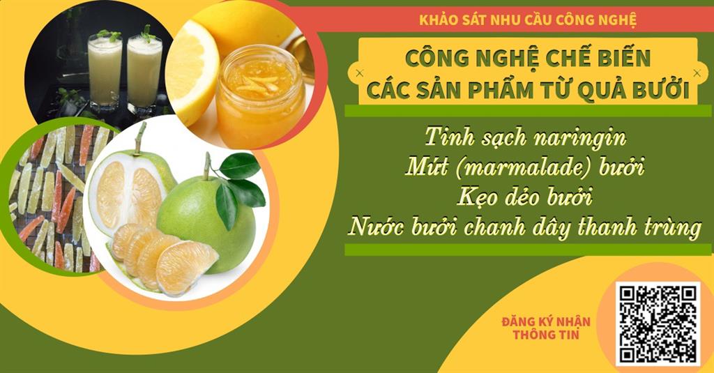 Chương trình Khảo sát nhu cầu công nghệ “Công nghệ chế biến các sản phẩm từ quả bưởi”
