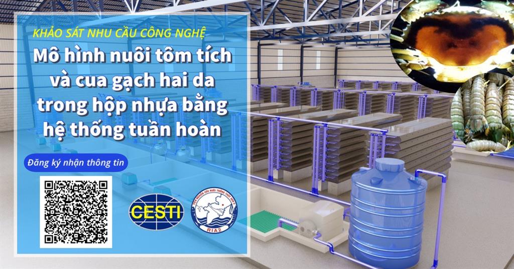 MỜI KHẢO SÁT NHU CẦU CÔNG NGHỆ CHỦ ĐỀ “MÔ HÌNH NUÔI TÔM TÍT HARPIOSQUILLA HARPAX VÀ CUA GẠCH HAI DA TRONG HỘP NHỰA BẰNG HỆ THỐNG TUẦN HOÀN - RAS