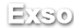 Công ty TNHH EXSO