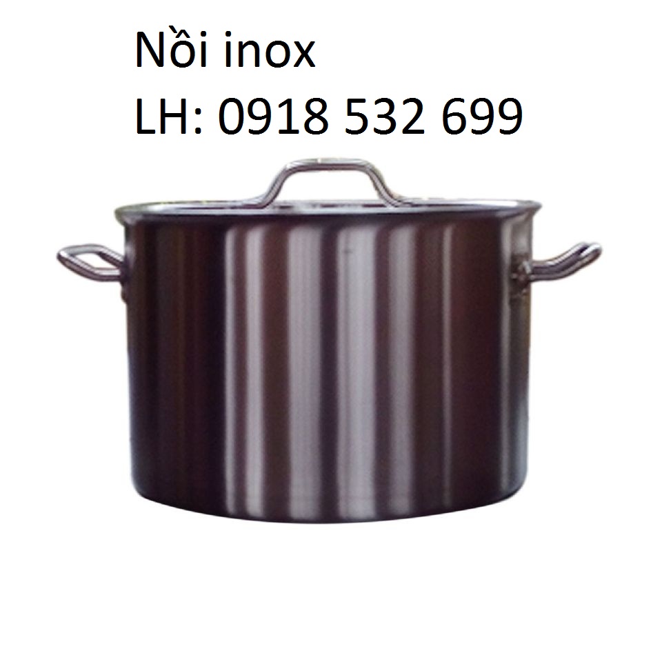 Bếp từ công nghiệp cho bếp ăn tập thể, khách sạn
