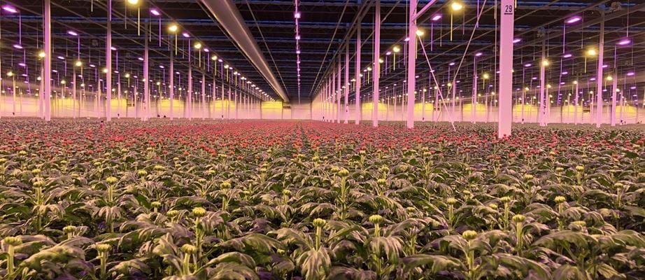 Hệ thống điều khiển &aacute;nh s&aacute;ng Gakon Grow Lighting For Horticulture