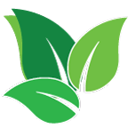 C&ocirc;ng ty cổ phần Đồng Xanh H&agrave; Nội