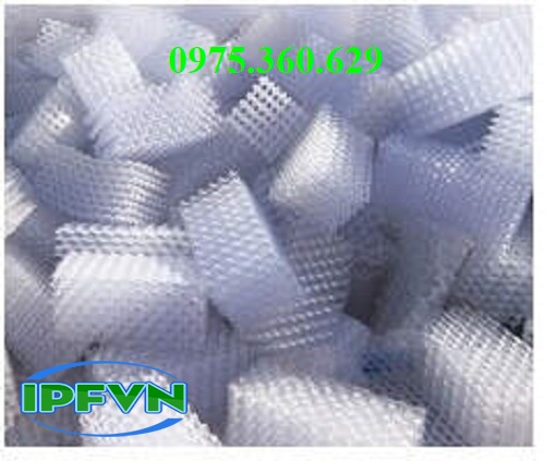 Đệm vi sinh dạng tấm