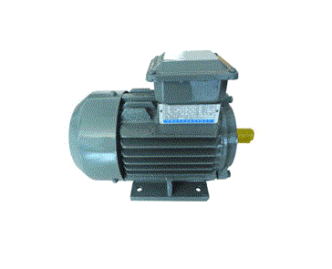 Motor 3 phase Dolin 2P/ 4P/ 6P ch&acirc;n đế v&agrave; mặt b&iacute;ch