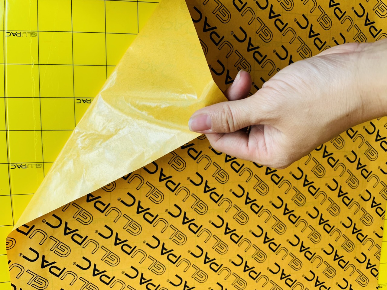 Tấm keo v&agrave;ng d&iacute;nh c&ocirc;n tr&ugrave;ng