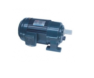 Động cơ giảm tốc Dolin trục thẳng ch&acirc;n đế